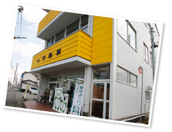 Kotake Seika