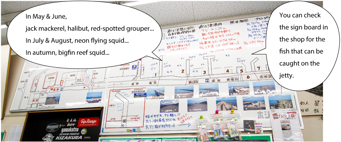 ホシノ釣具店