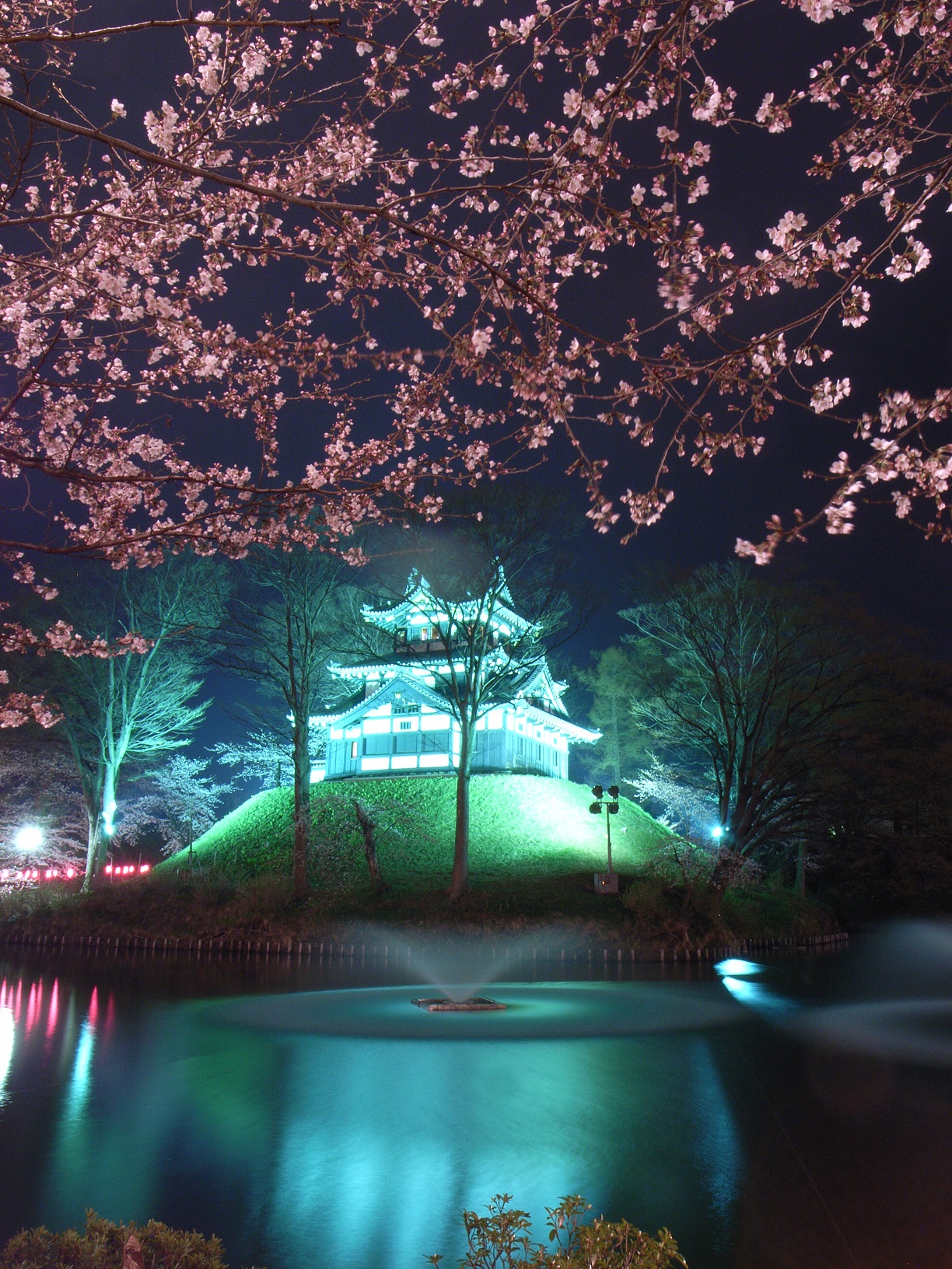 動画 日本三大夜桜のひとつ 上越随一の絶景 高田の桜 新潟県上越市 雪国ジャーニー