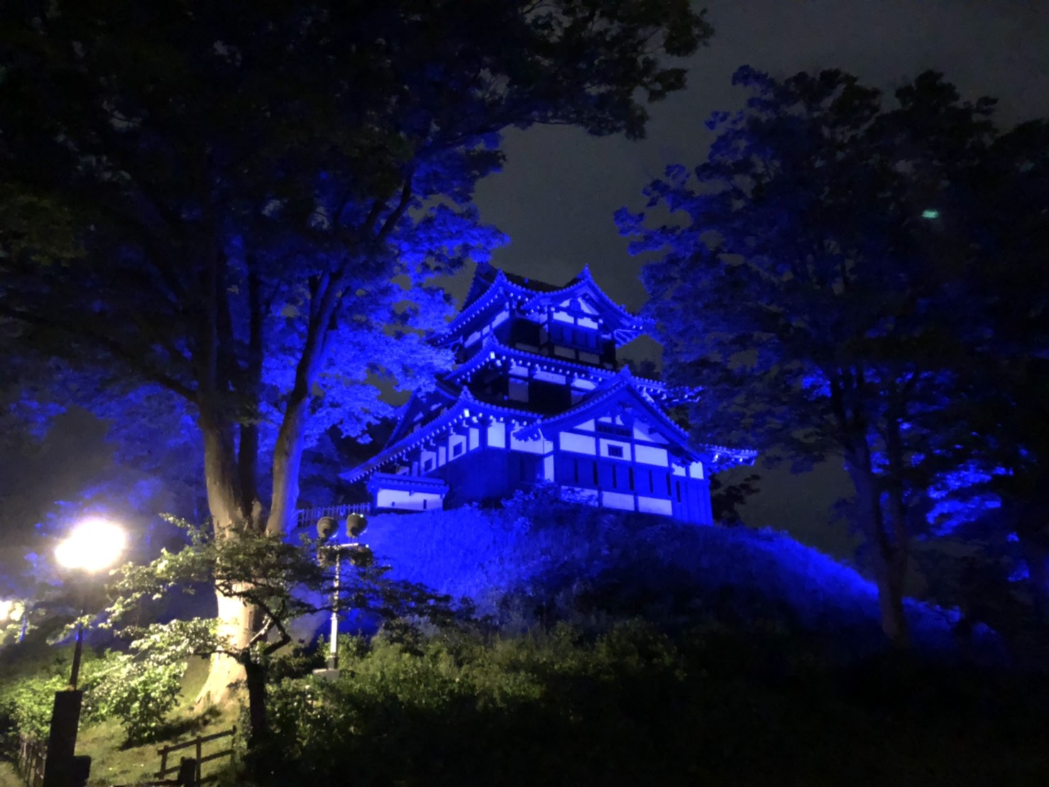 Movie Takada Castle Blue Light Up Started Yukiguni Journey