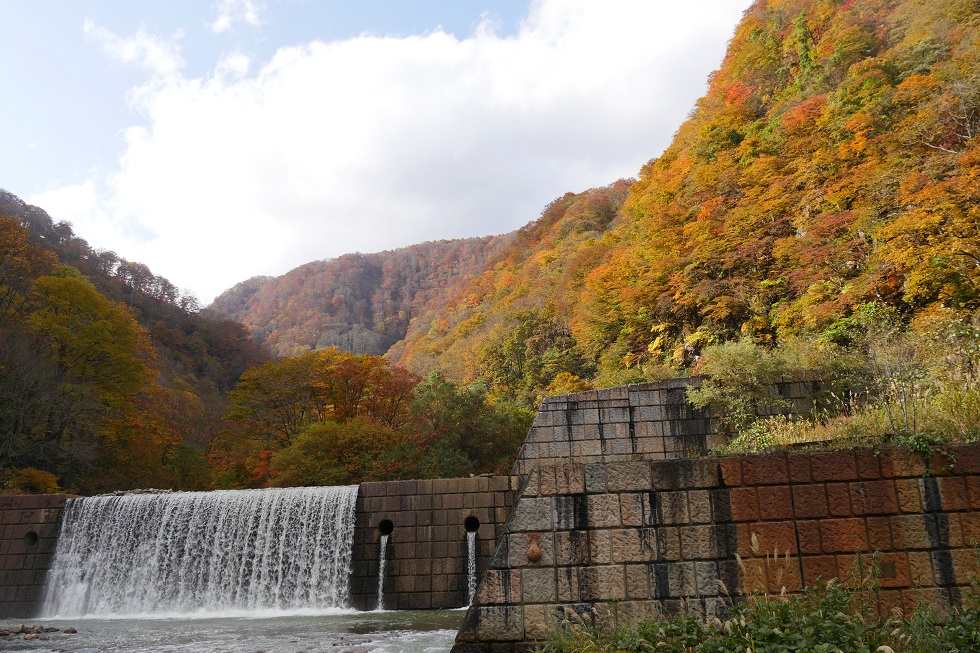 紅葉情報 29日 木 撮影 苗名滝 いもり池 杉野沢 赤倉 雪国ジャーニー