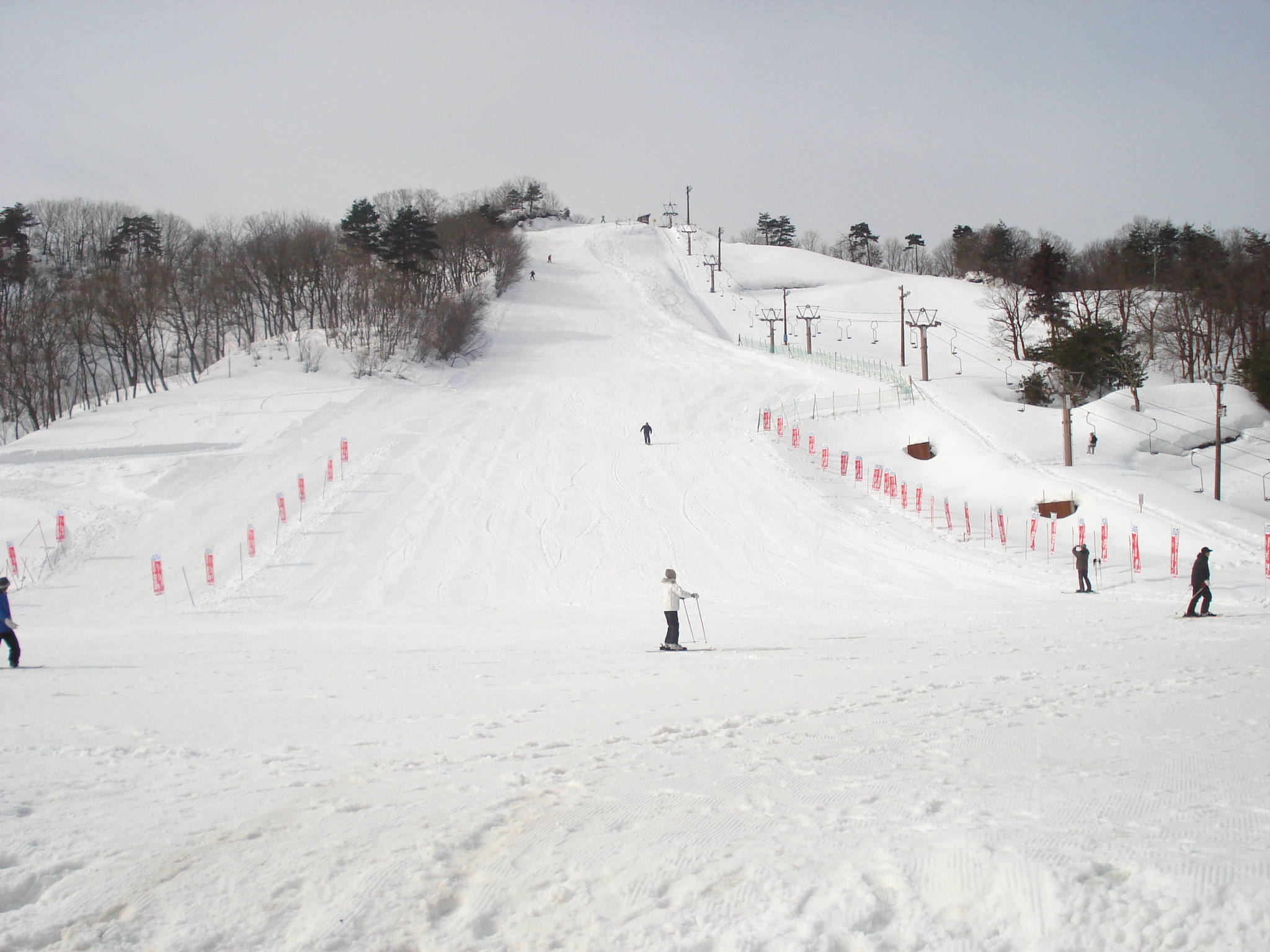 31日 日 オープン ゲレンデガイド 21 Vol 7 金谷山スキー場 新潟県上越市 雪国ジャーニー 31日 日 オープン ゲレンデガイド 21 Vol 7 金谷山スキー場 新潟県上越市 雪国ジャーニー