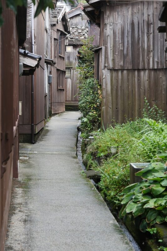 Sado trip! ④ Take a ride through “Shukunegi Village” by rental cycle ...