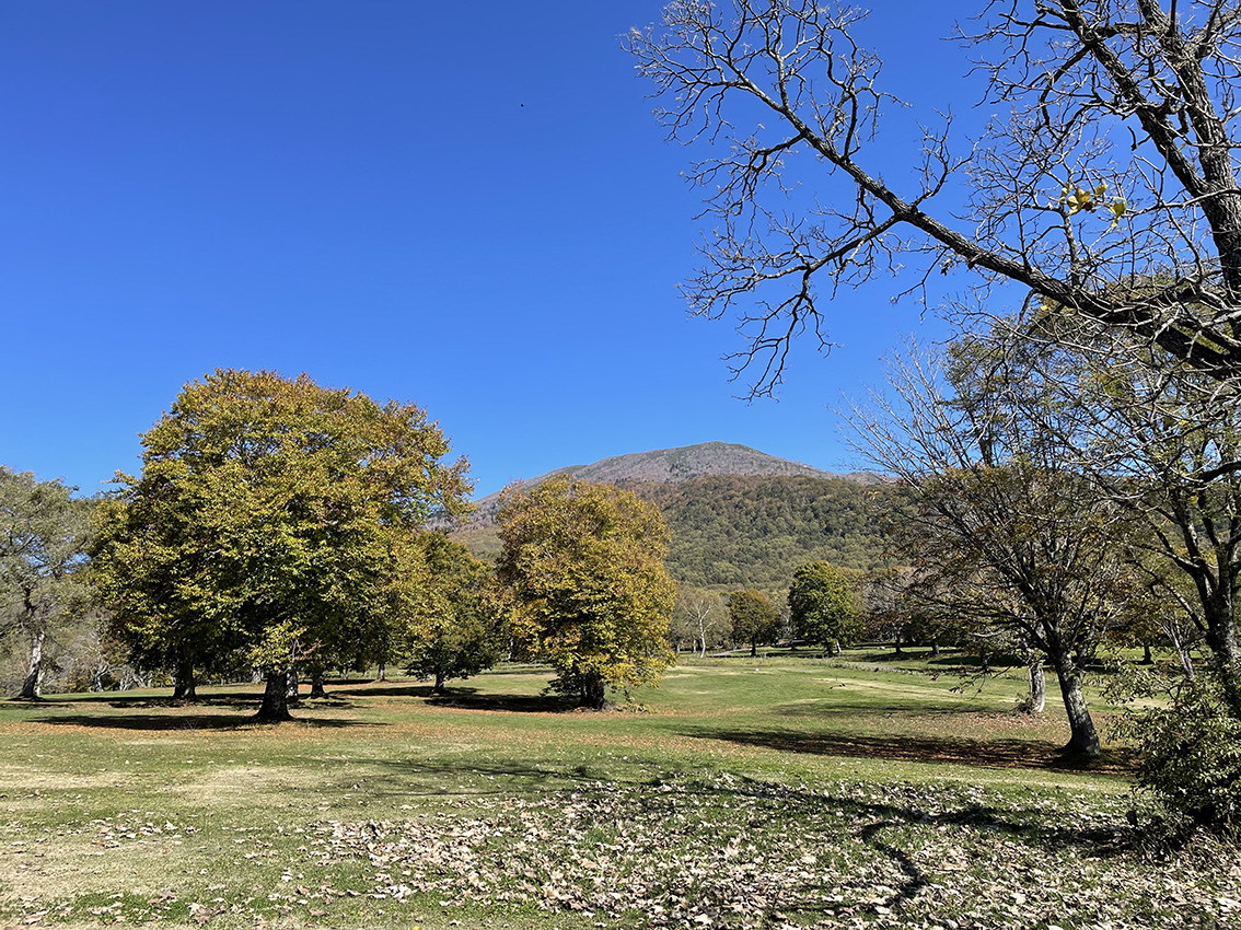 上越妙高 紅葉情報21 笹ヶ峰 苗名滝 いもり池 赤倉ほか 10月15日撮影 雪国ジャーニー